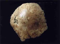Crnio humano que pode ter 100 mil anos  encontrado 