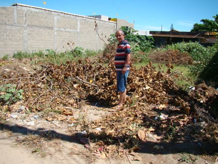 Terrenos baldios sero notificados em Maratazes