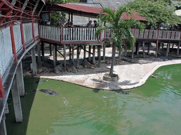 Mulher morre aps se jogar em lago de crocodilos