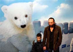 Filme com 'biografia' do ursinho Knut estria na Alemanha.