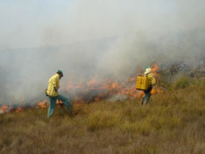 Fogo destri cerca de 1.500 hectares na regio da Serra da Canastra em MG