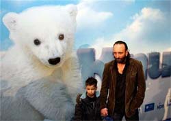 Filme com 'biografia' do ursinho Knut estria na Alemanha