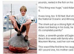 Menino de 12 anos pesca sozinho tubaro de 250 kg em Miami.