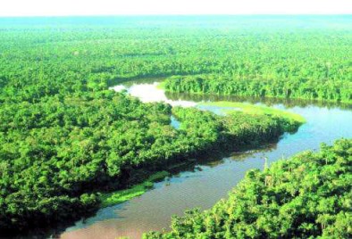 Governo lana programa que regulariza terras ilegais na Amaz