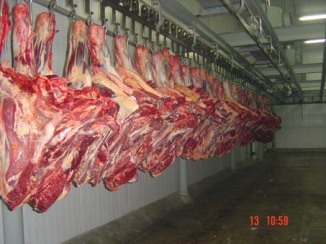Exportaes brasileiras de carne bovina crescem 413,6% em oito anos, diz OMC