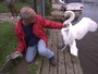 Cisne ataca socorrista que tentava resgatar filhote preso 