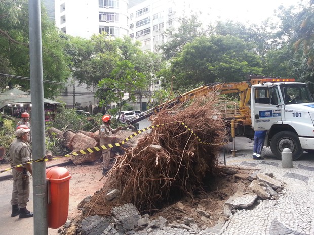 Ventania durante a madrugada provoca queda de rvores no Rio