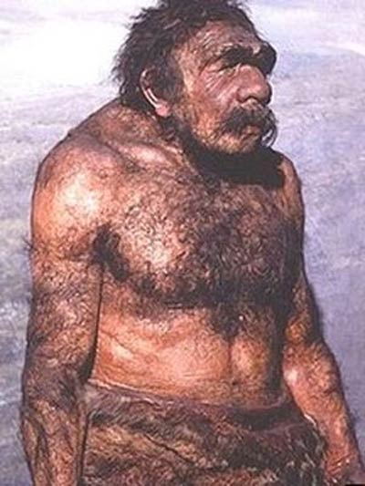 Estudo revela que neandertais cozinhavam e consumiam vegetais