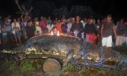 Crocodilo gigante  capturado nas Filipinas 