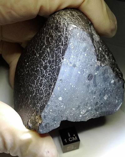 Descoberto meteorito marciano nico, rico em gua  
