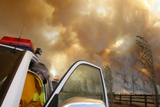 Austrlia: Vtimas dos incndios florestais j so 96 