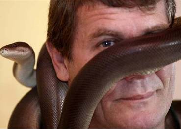 87% dos australianos no sabem identificar cobra venenosa