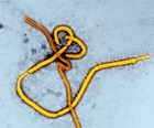 Primeiro caso de ebola  confirmado no Senegal