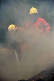 Vtima mortal em Gondomar era uma bombeira voluntria.