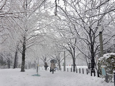 Tquio sofre primeira nevasca do inverno  