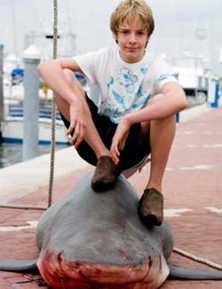 Menino de 12 anos pesca tubaro de 250 kg em Miami