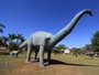 Rplicas de maior dinossauro do Brasil so expostas 