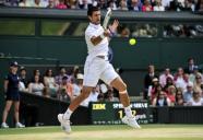 Djokovic e Kvitova: campees de Wimbledon 