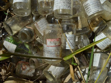 Frascos doados para reciclagem  so abandonados em Araraquara, SP