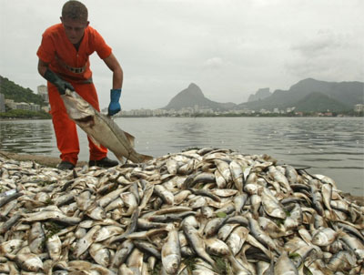 Mais de 35 toneladas de peixes so removidas da lagoa 