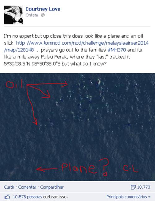 Courtney Love diz ter encontrado o avio perdido da Malaysia Airlines