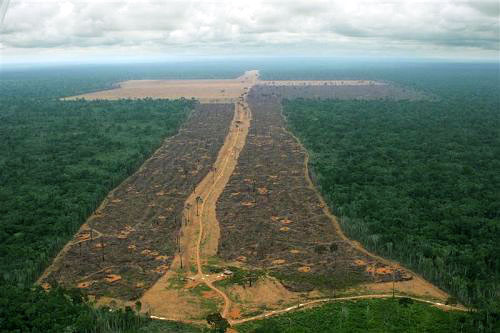 Desmatamento diminui 18% na Amaznia Legal