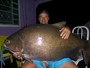 Em MT, pescador fisga peixe com mais de 38 kg no Rio Teles 