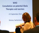 Cientistas buscam soluo para crise do ebola em encontro 