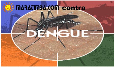 Pacientes com dengue devem ter ateno redobrada com a queda da febre