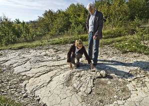 Arquelogos amadores acham maiores pegadas de dinossauro do mundo