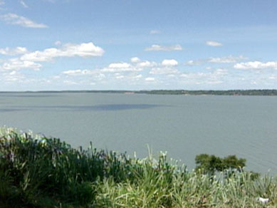 Mais de 200 jacars invadem lagoas no Norte do Esprito Santo