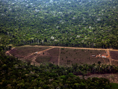 Desmatamento na Amaznia cai 43% em setembro, segundo dados do Inpe