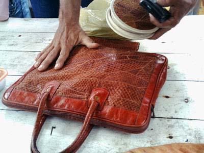 Prefeitura Municipal de Maratazes e SENAR ministram curso de beneficiamento do couro de peixe