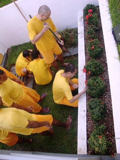 Internos do CDP de Cachoeiro de Itapemirim concluem curso de jardinagem