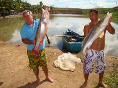 Pescado robalos gigantes em lagoa de Maratazes 