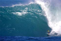 Piores ondas em 40 anos adiam Eddie Aikau