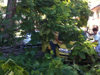 rvore cai em cima de dois carros em rua no Jardim Botnico, do Rio