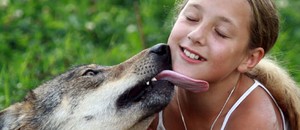 Famlia transforma lobos em animais de estimao em Belarus
