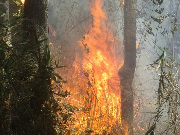 Bombeiros seguem combatendo incndio na Regio Serrana do RJ