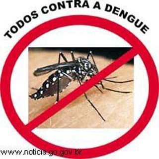 Dengue  6 vezes menor em 2010 