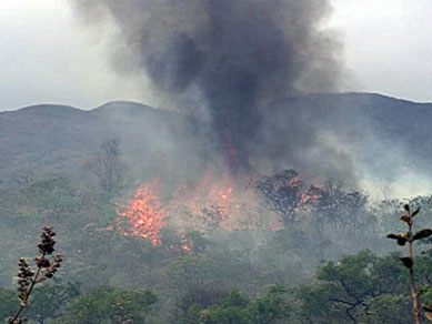 Incndio no Parque do Rola Moa, em MG,  o maior desde 2003, diz direo