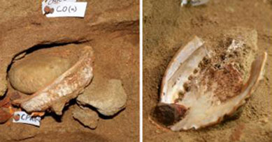 Arquelogos descobrem caixas de ferramentas de 100 mil anos 