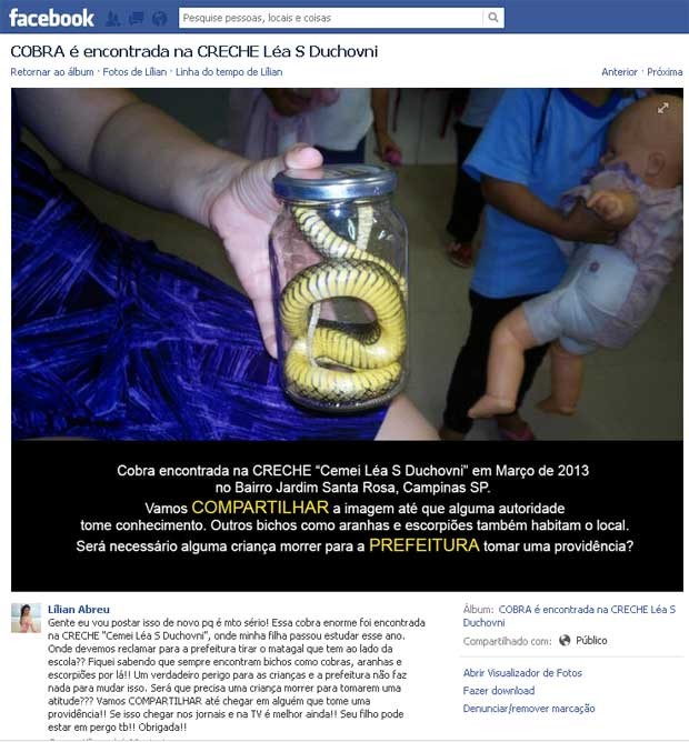 Fotografa descobre invasao de cobra em creche da filha em rede social