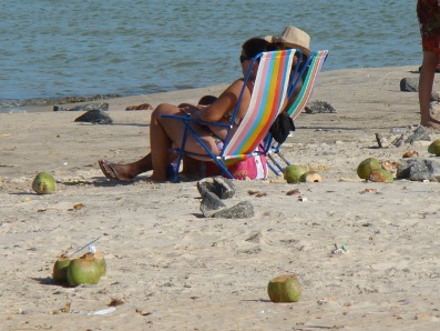 6 toneladas de coco so retiradas das praias de Maratazes