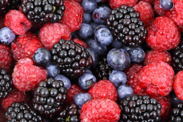 Frutas vermelhas ajudam a combater o cncer, a presso alta