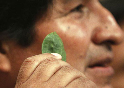 Morales masca folhas de coca na ONU