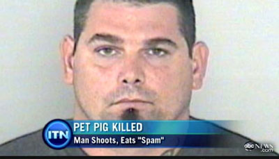 Americano  preso por matar e comer porco de estimao