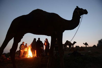 Famlia do Mali come camelo dado ao presidente francs  