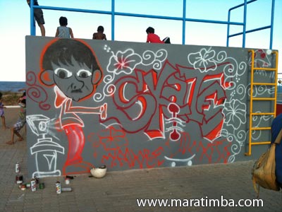 Arte ou Vandalismo? Grafite ou Pixao?