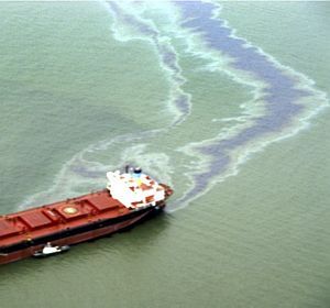 EUA dizem que limpeza de petrleo no Golfo pode levar anos